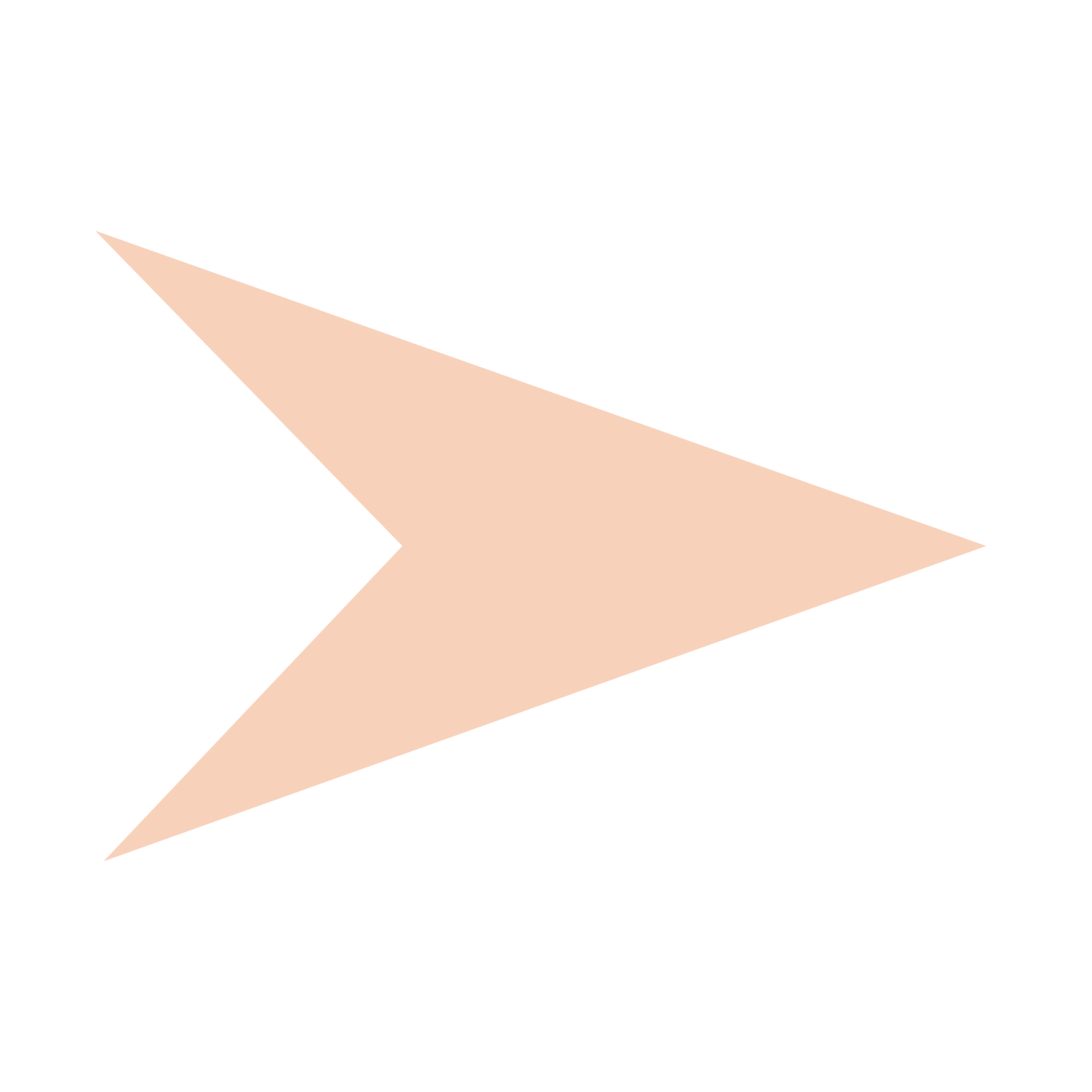 Bullet